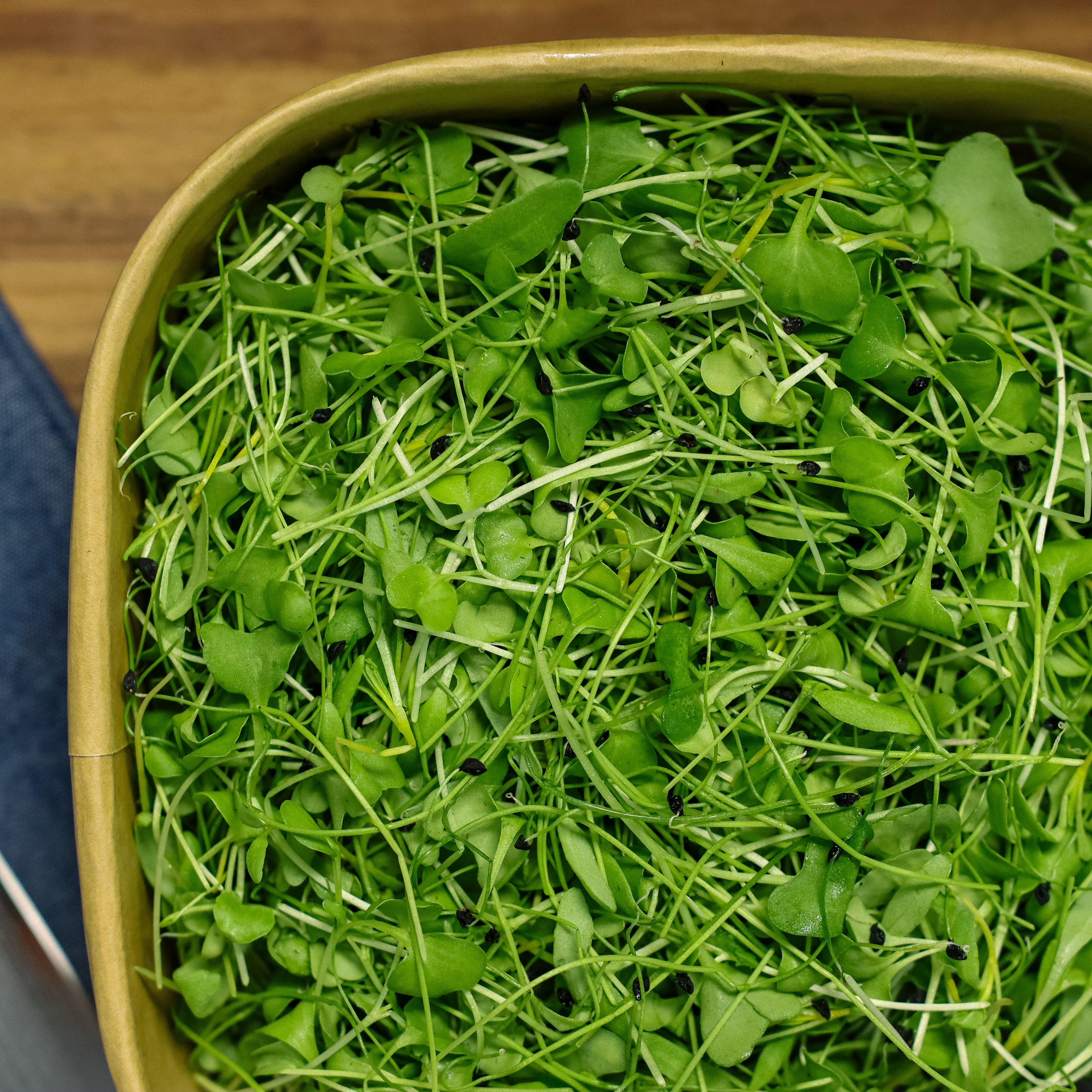 Bowl of fresh green microgreens on a wooden surface