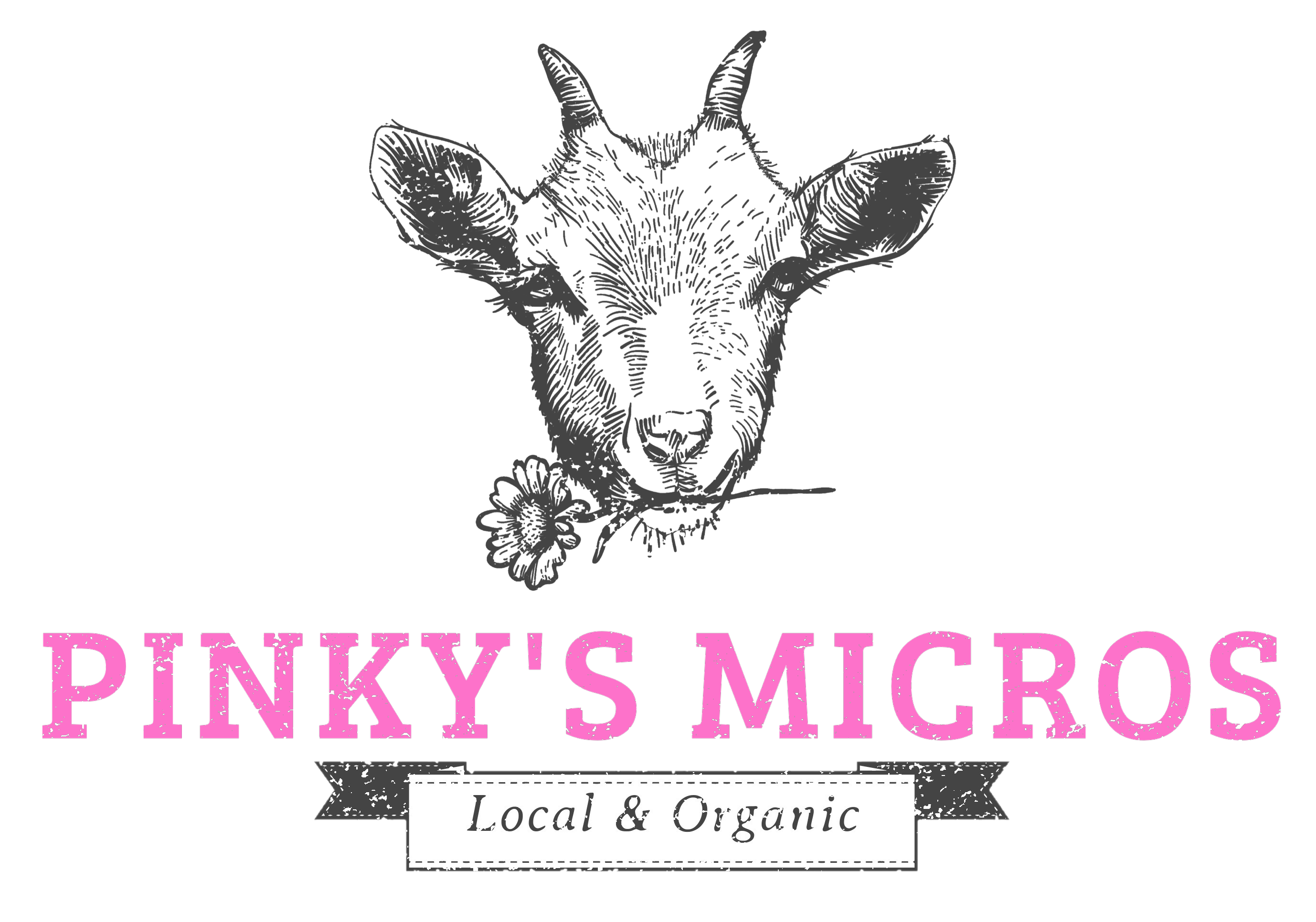 Pinky's Micros