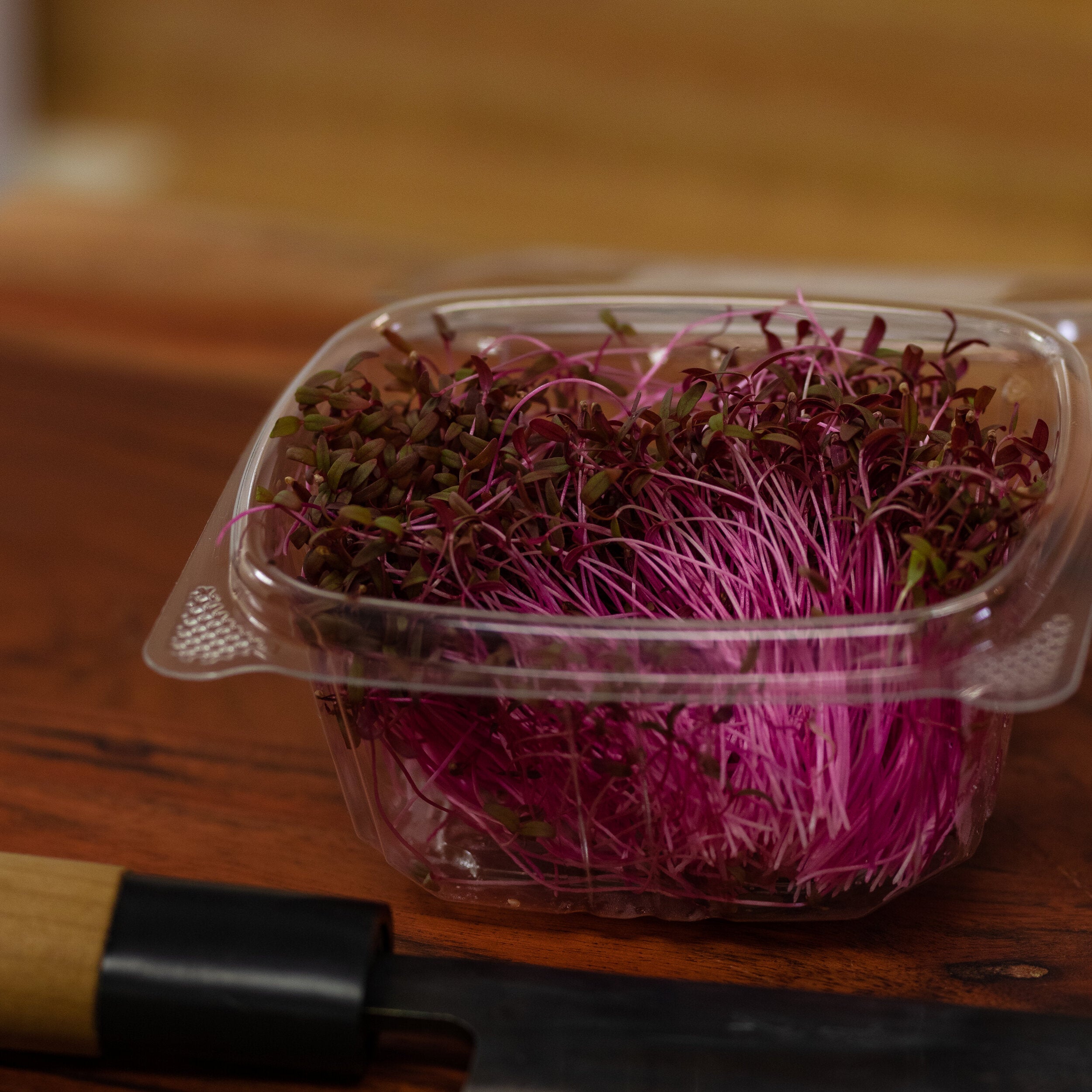 Red Garnet Amaranth