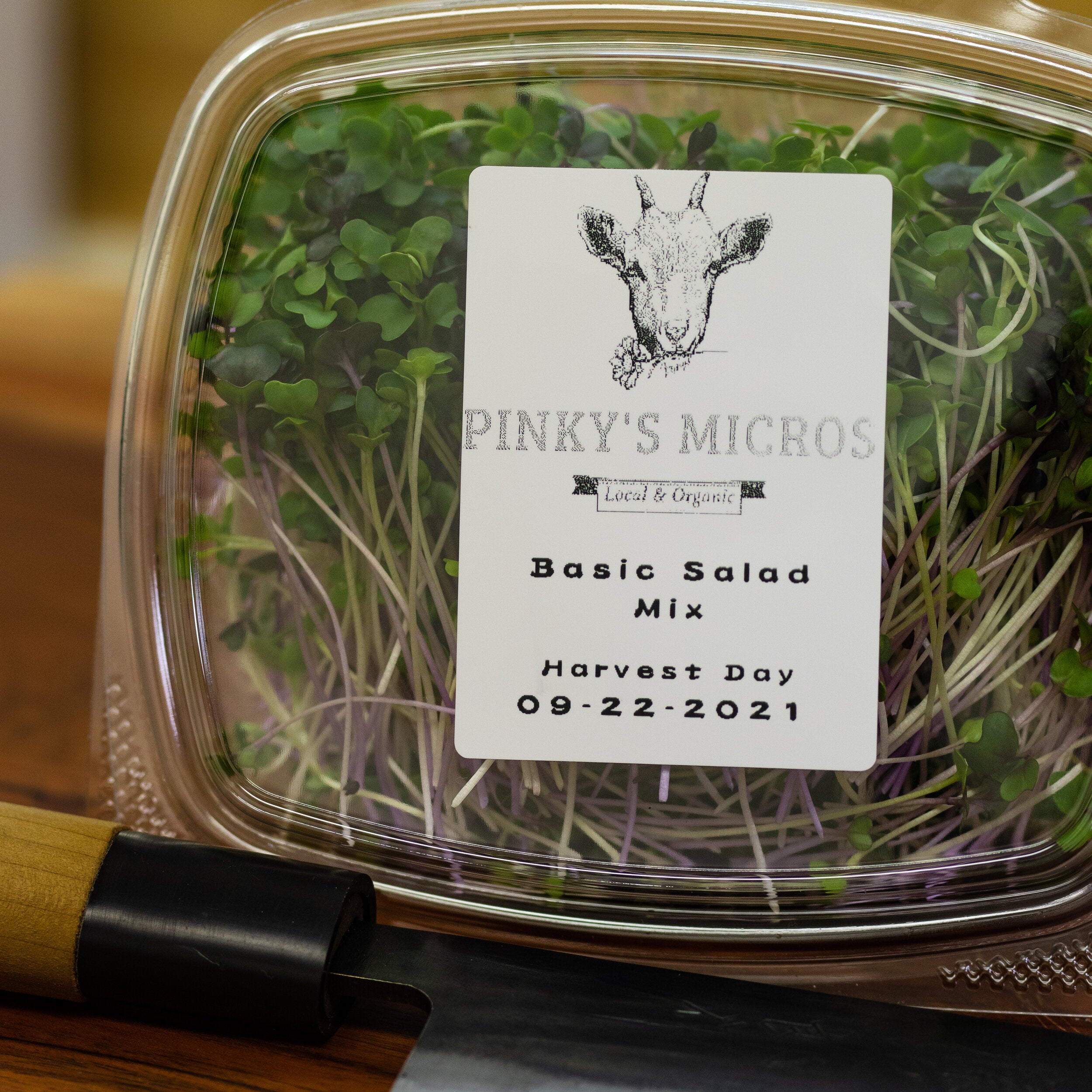 Basic Salad Mix-SQ1095226