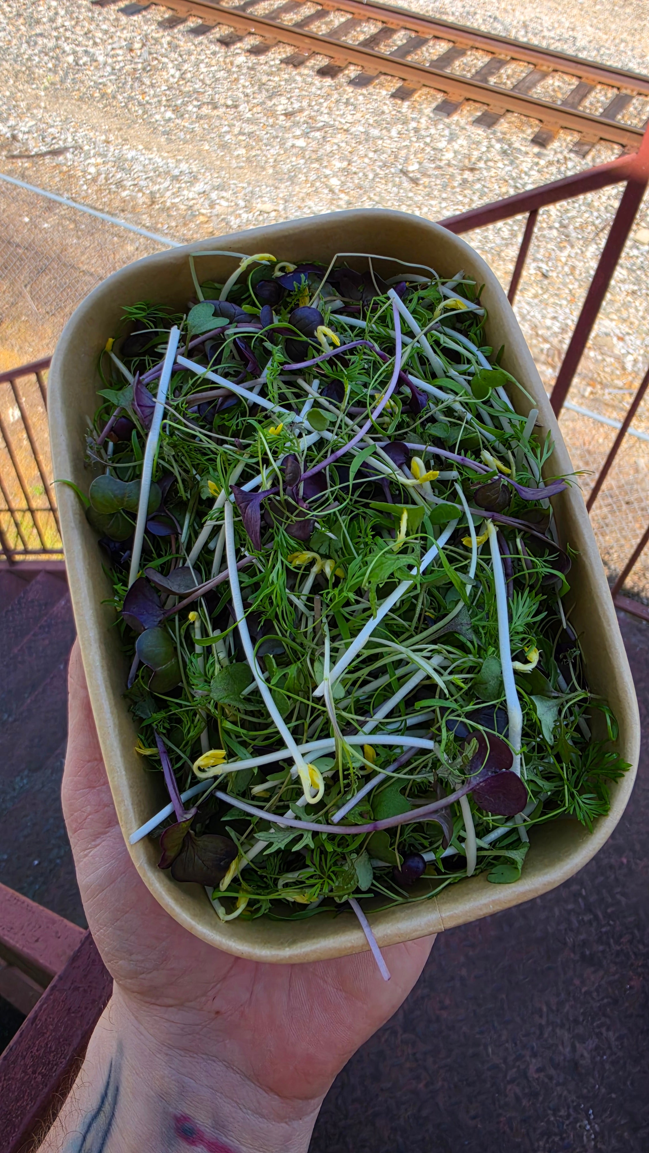 Seasonal Chef's Blend