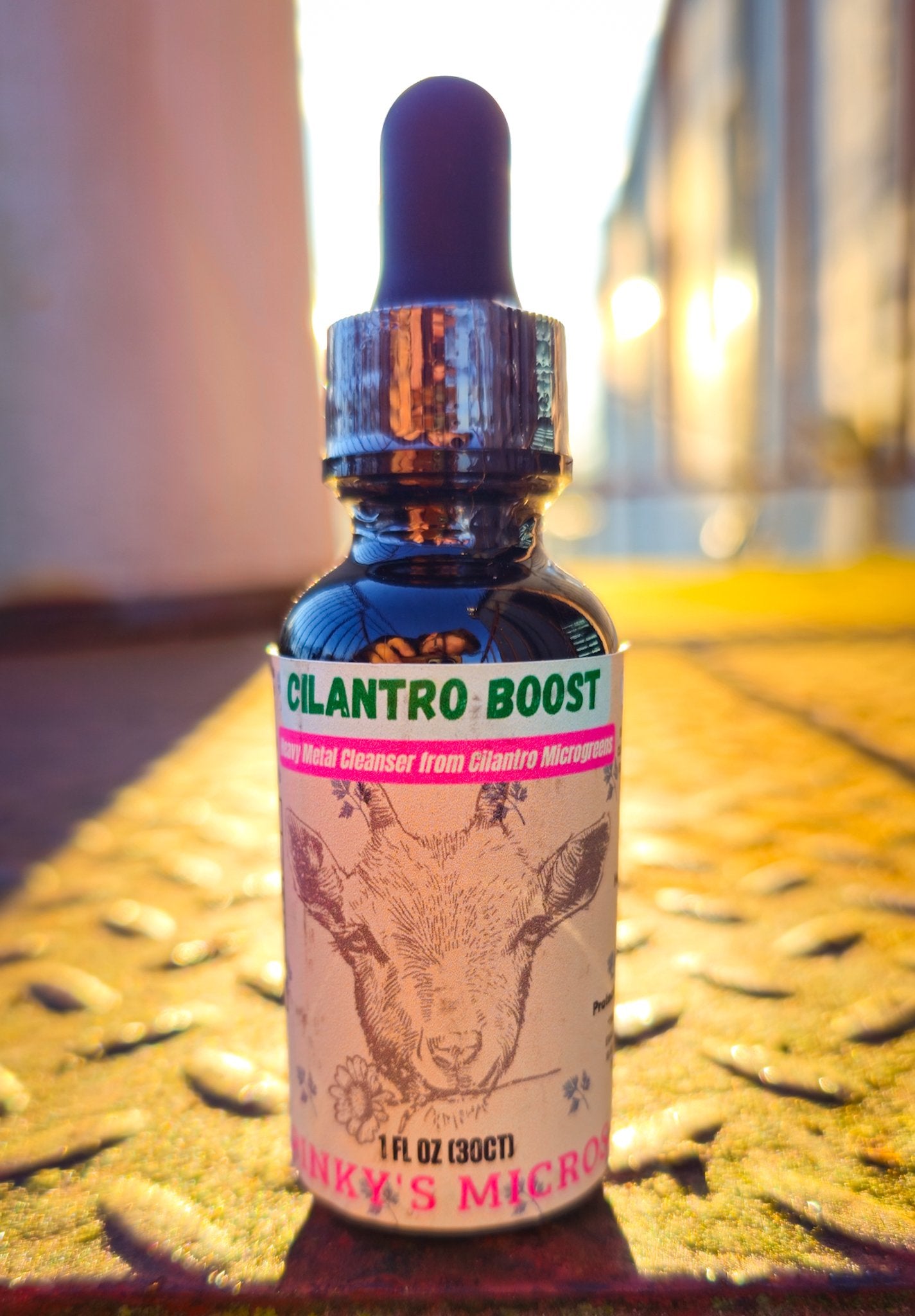 Cilantro Boost Tincture