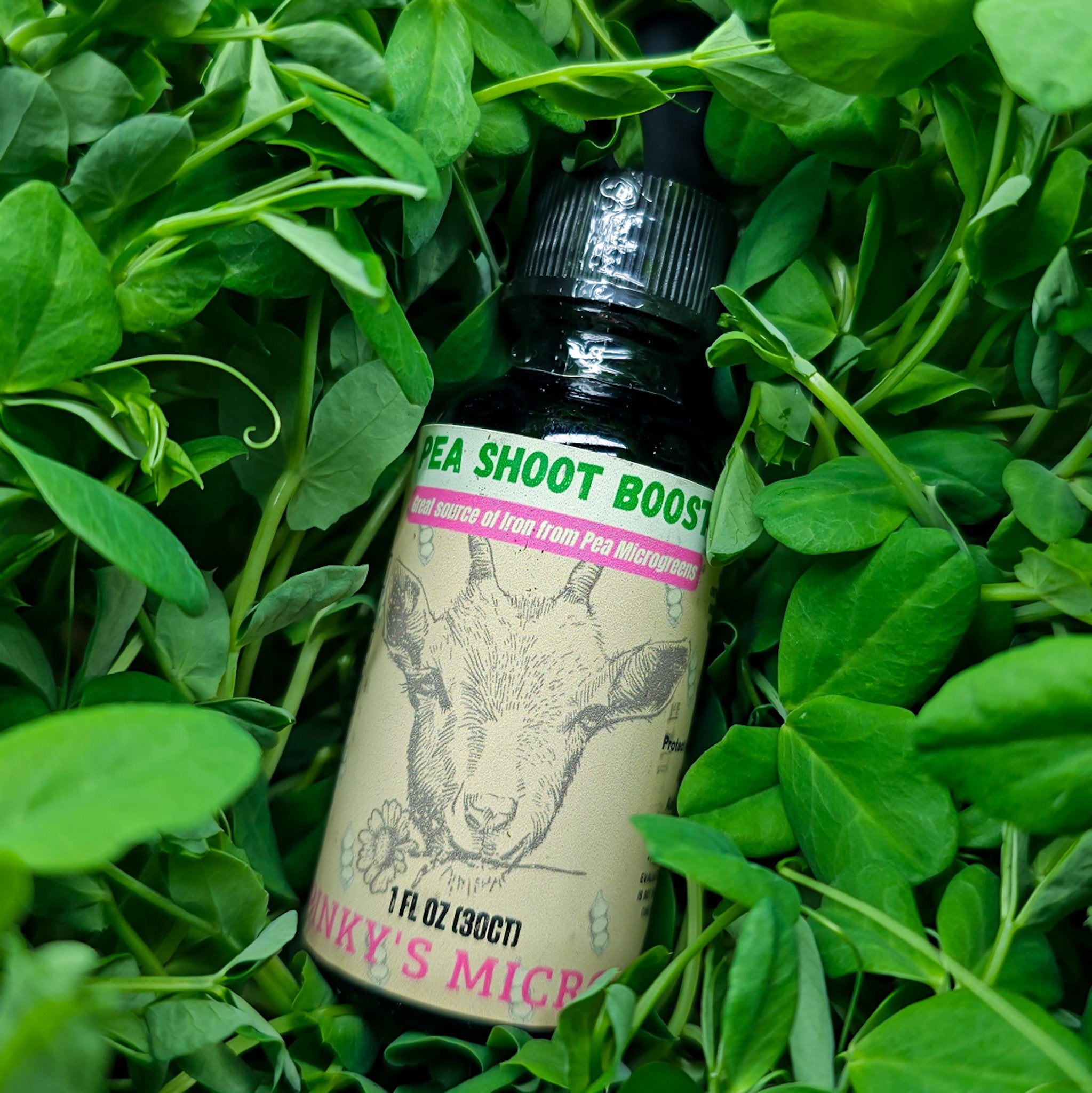 Pea Shoot Boost Tincture