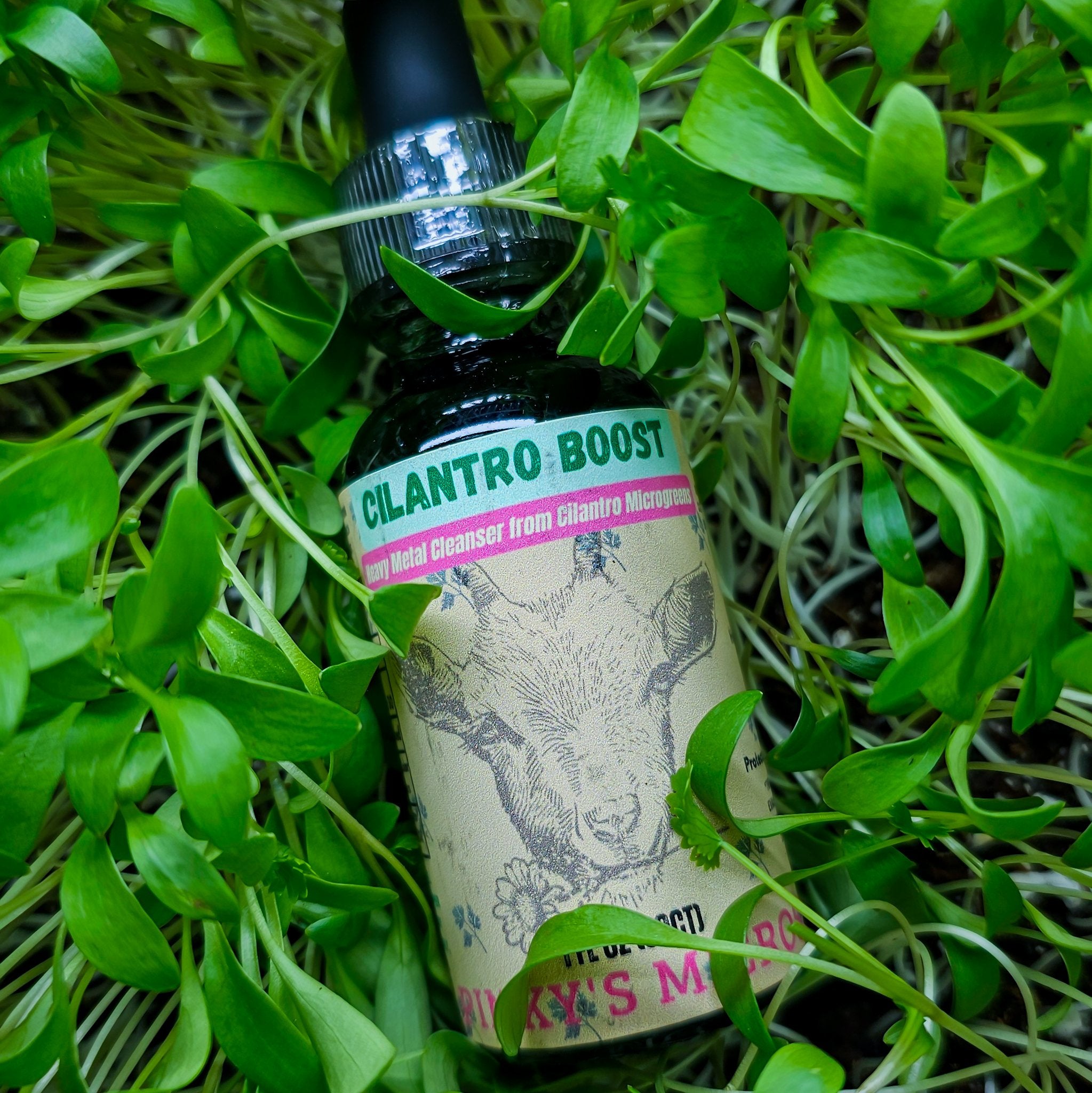 Cilantro Boost Tincture