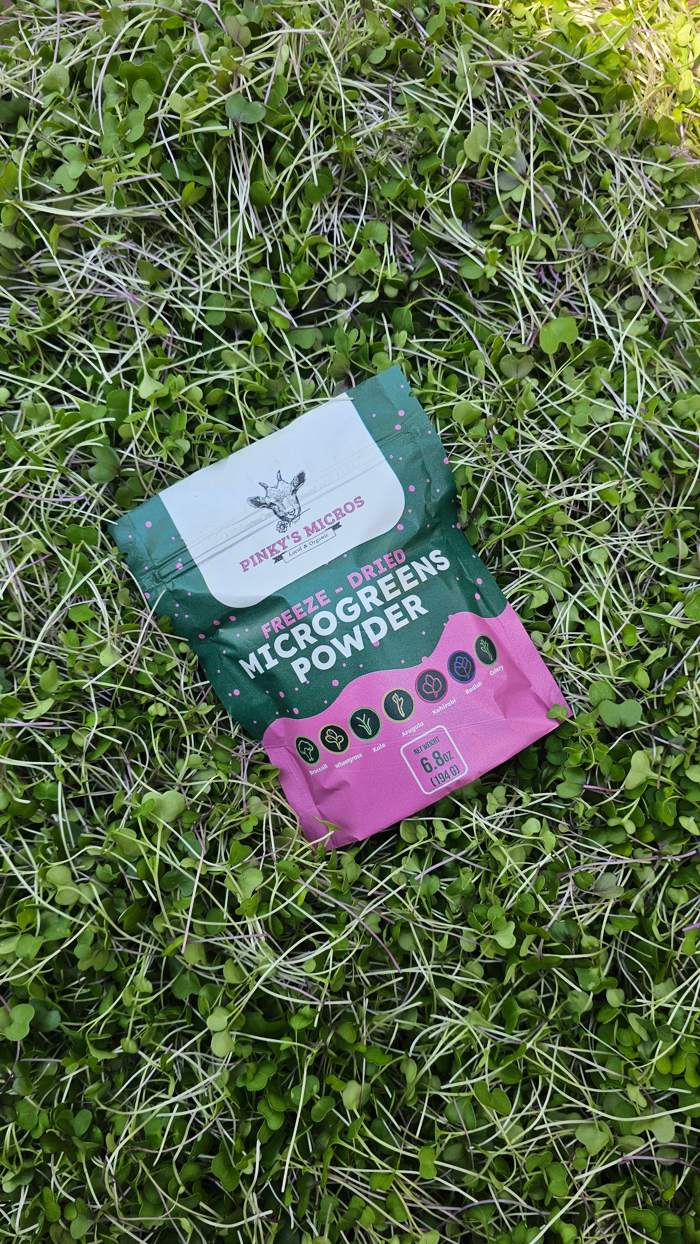 Freeze-Dried Microgreens Powder