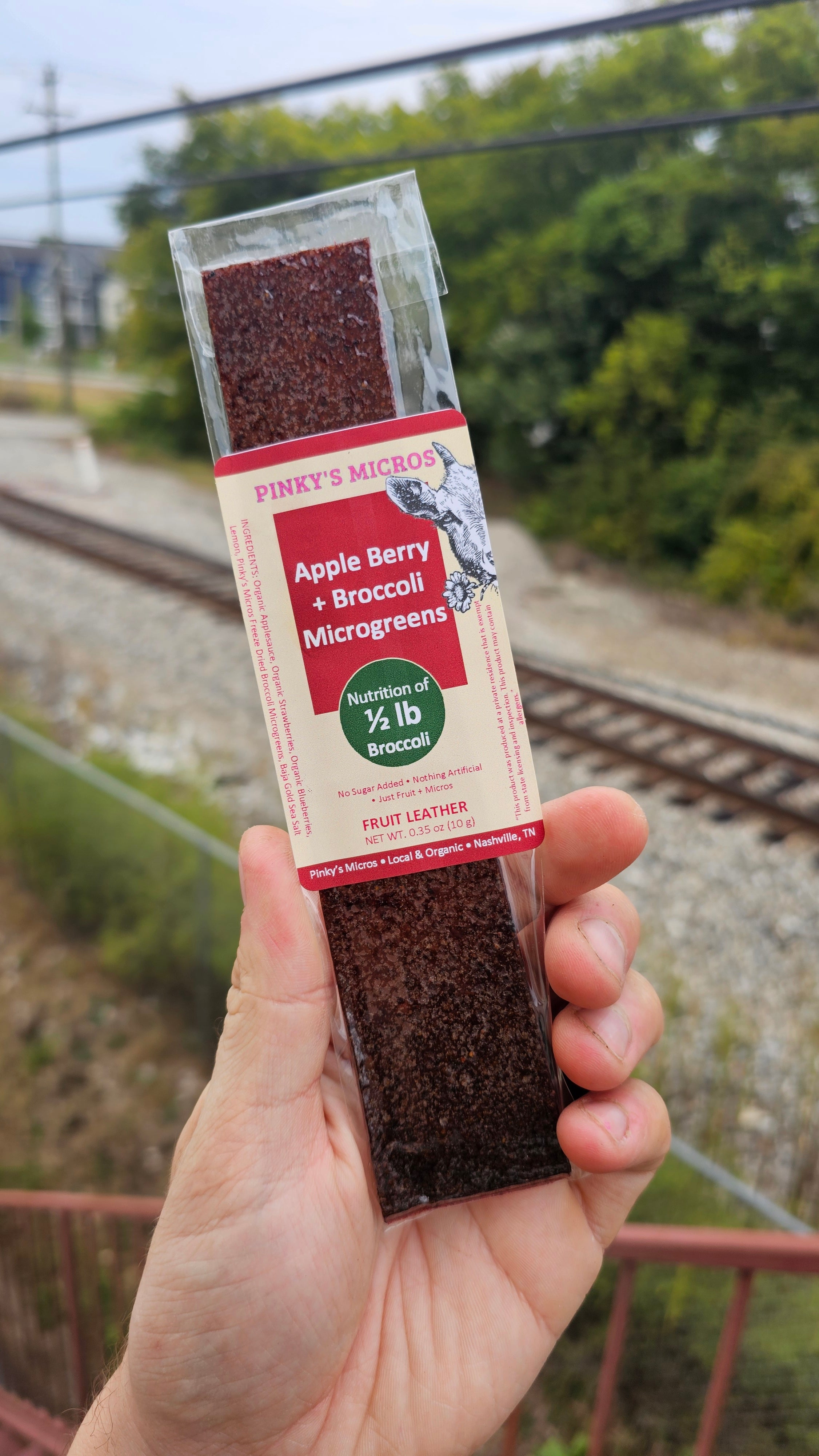 Apple Berry + Broccoli Microgreens Fruit Leather