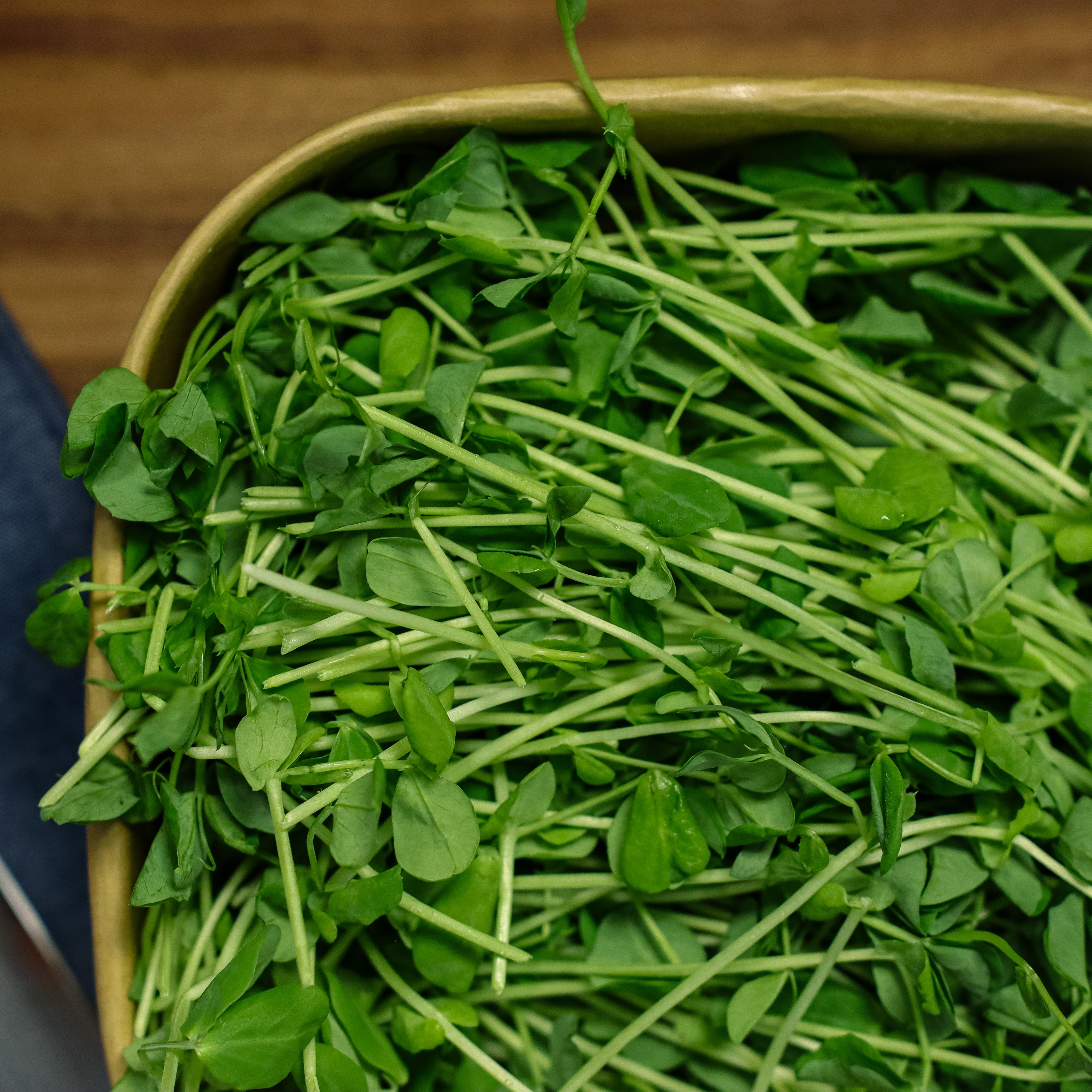 Pea Shoots