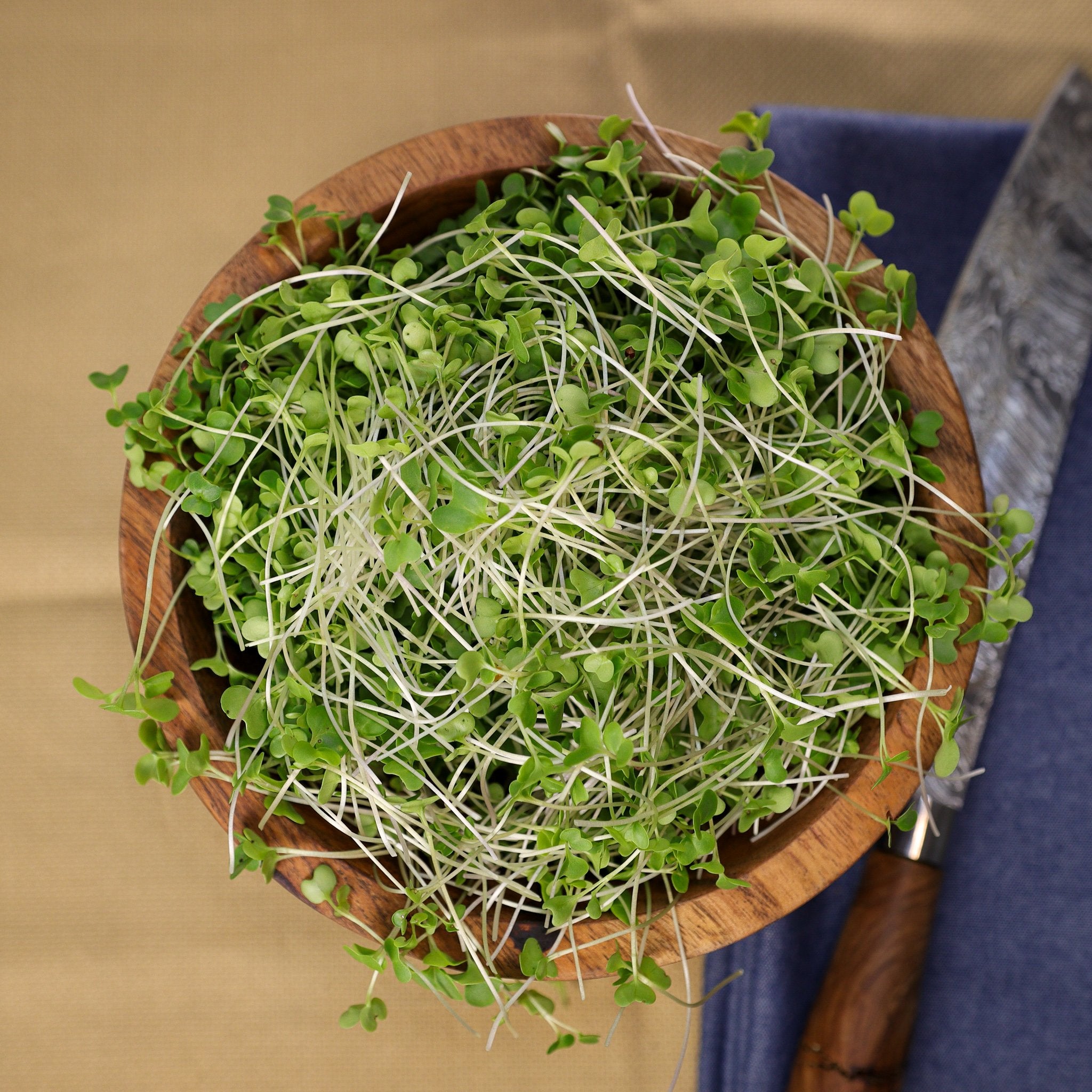 Broccoli-SQ9704895