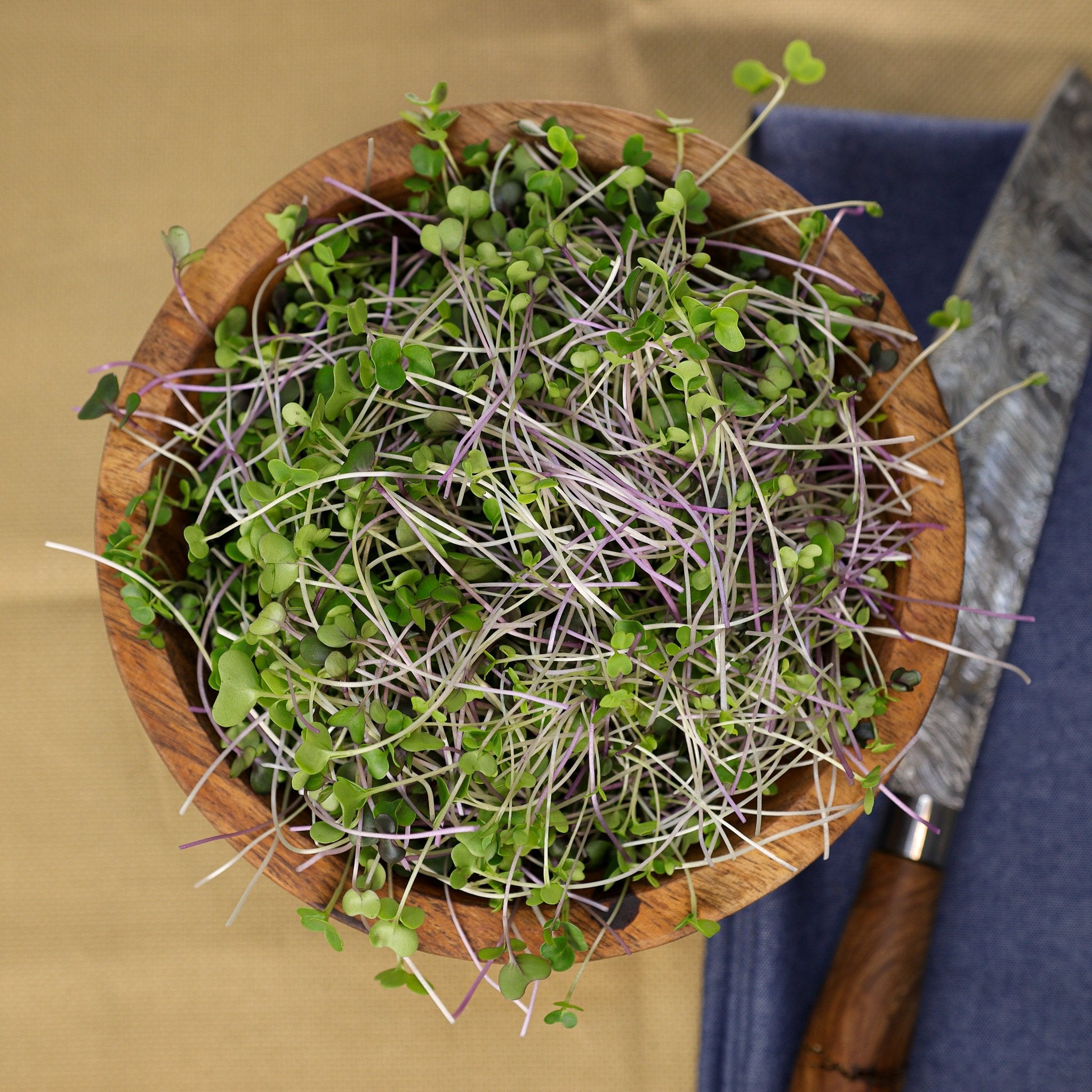 Basic Salad Mix-SQ1095226