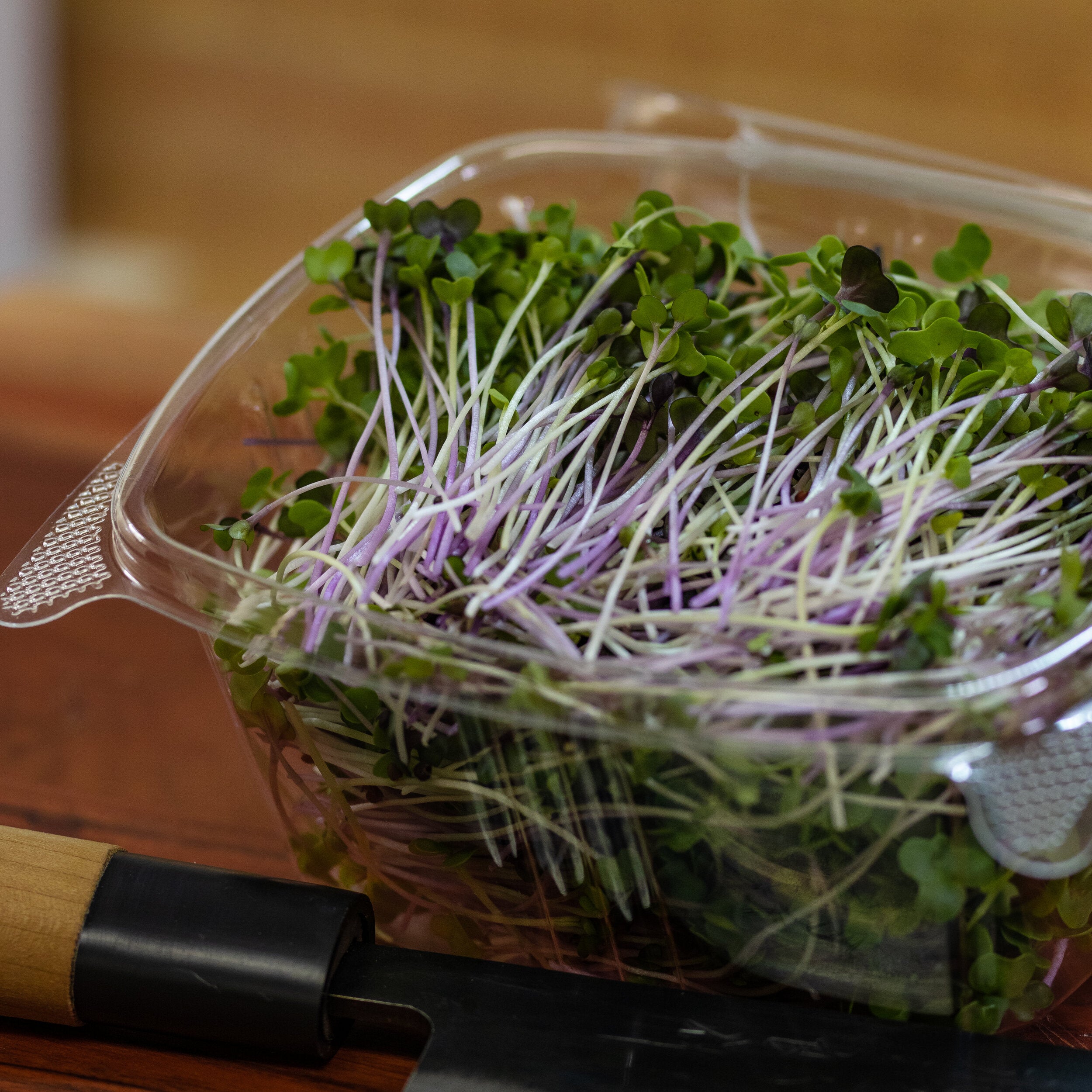 Basic Salad Mix-SQ1095226