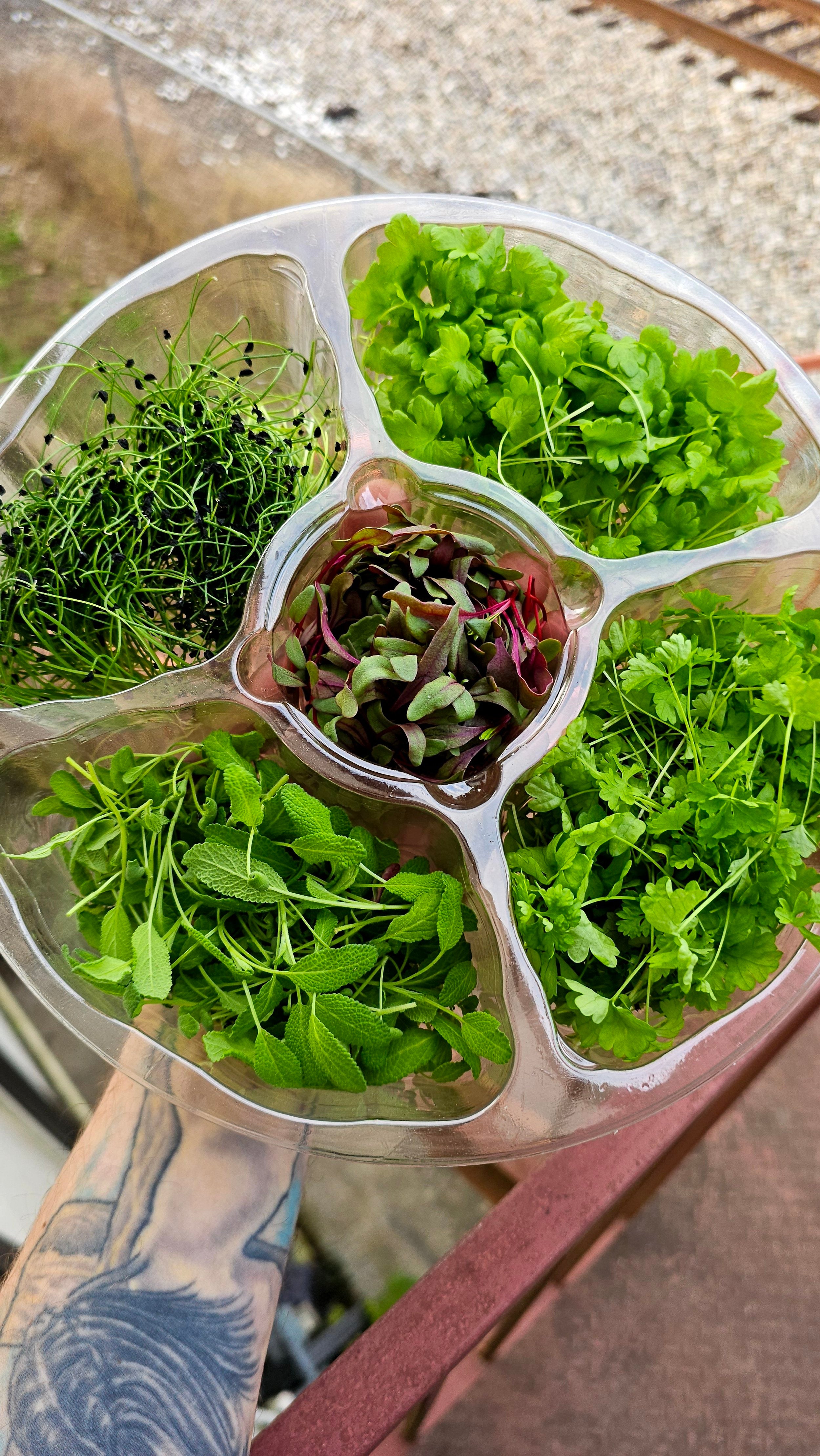 Thanksgiving Herb Kit