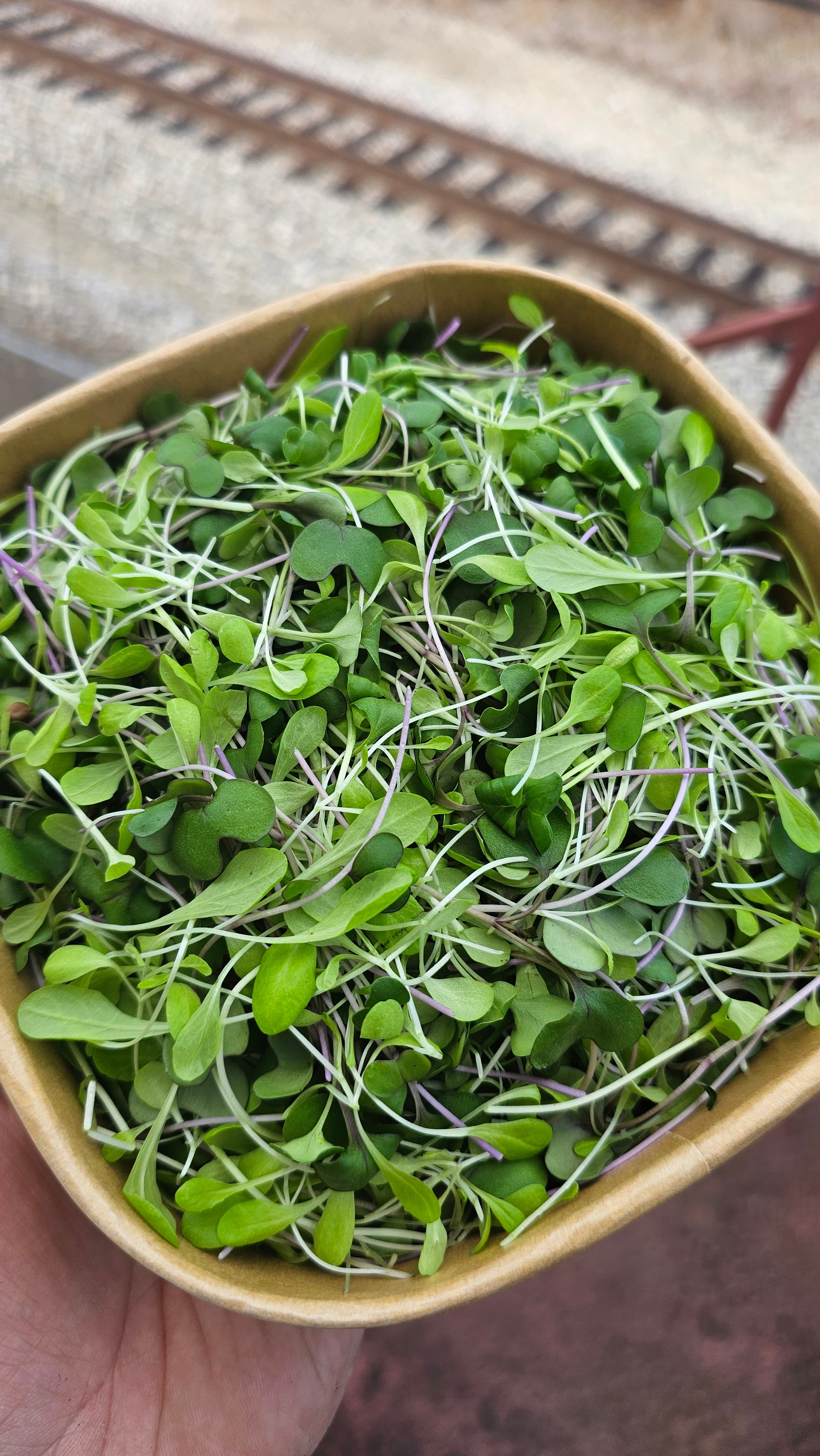 Seasonal Chef's Blend