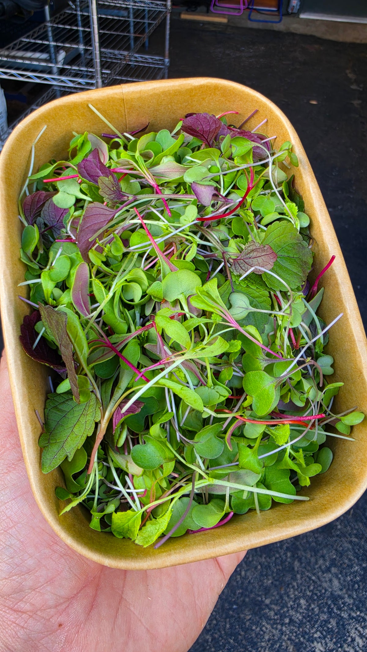 Seasonal Chef's Blend