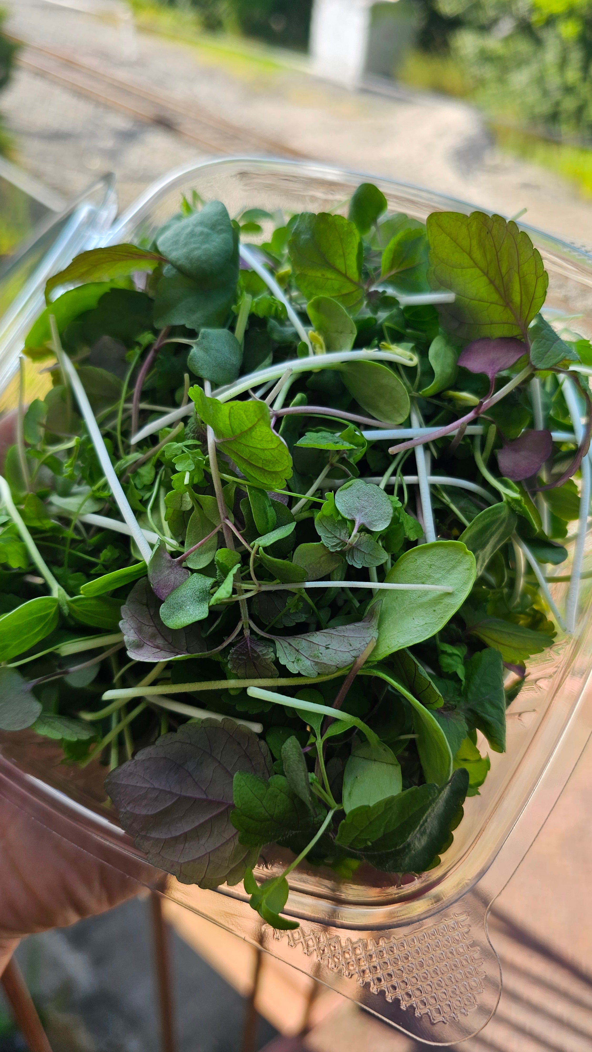 Seasonal Chef's Blend