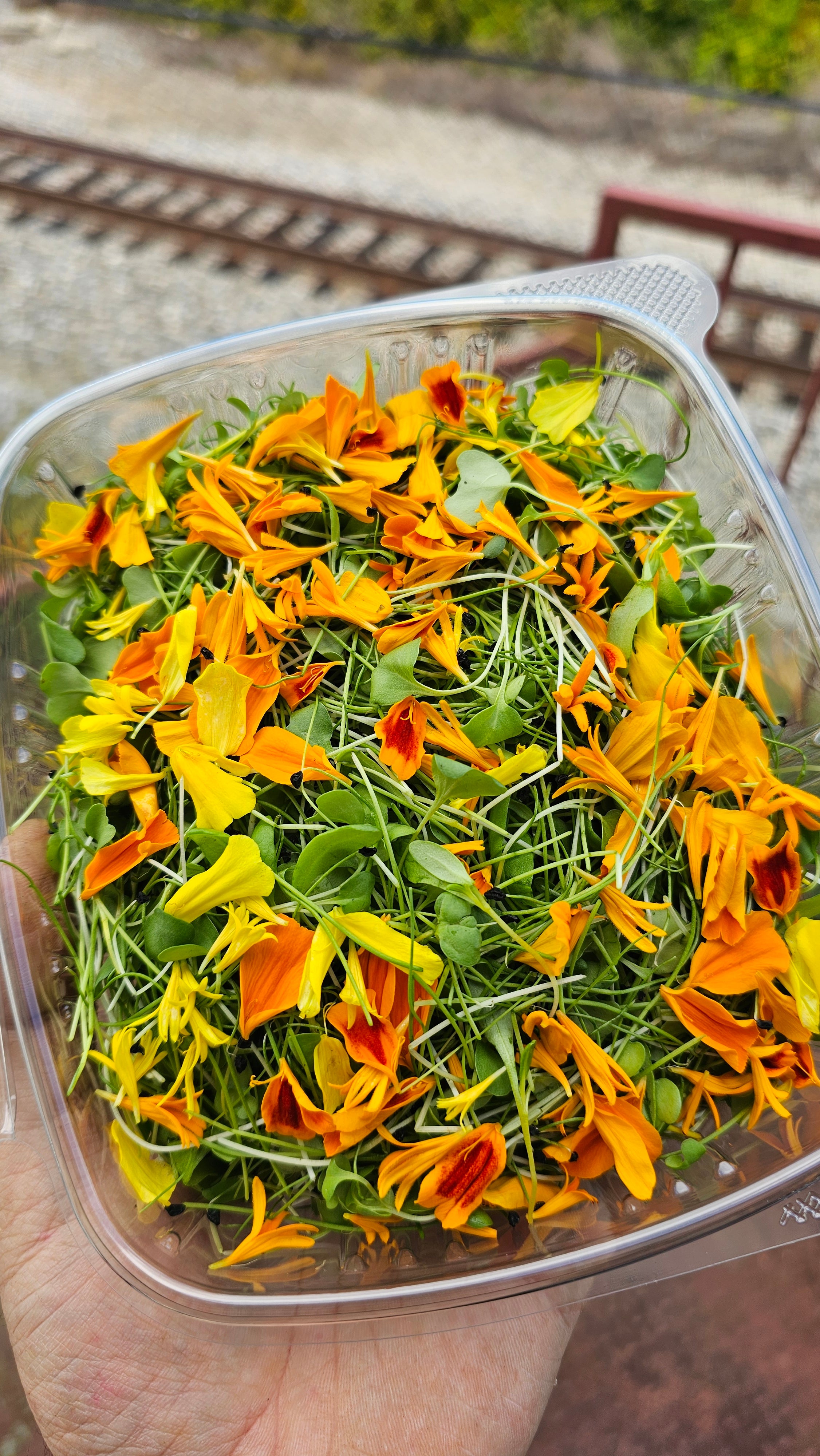 Seasonal Chef's Blend